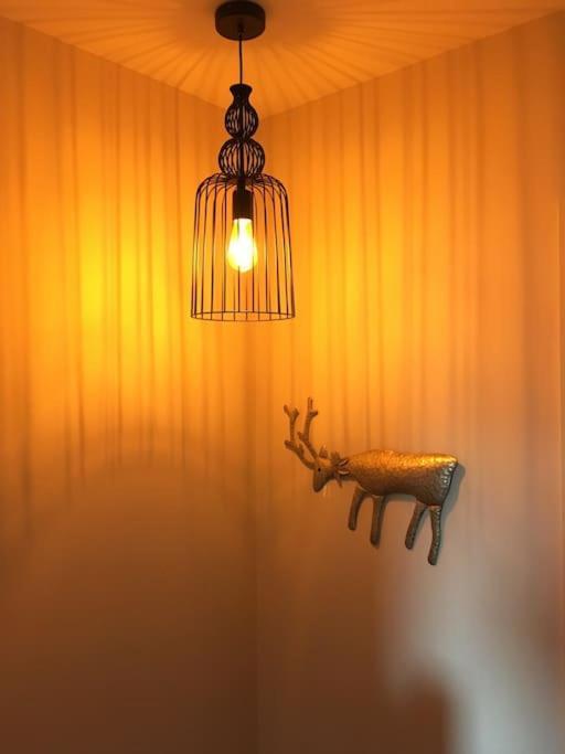 Chalet De Charme A Saint Lary - 维格奈科 外观 照片