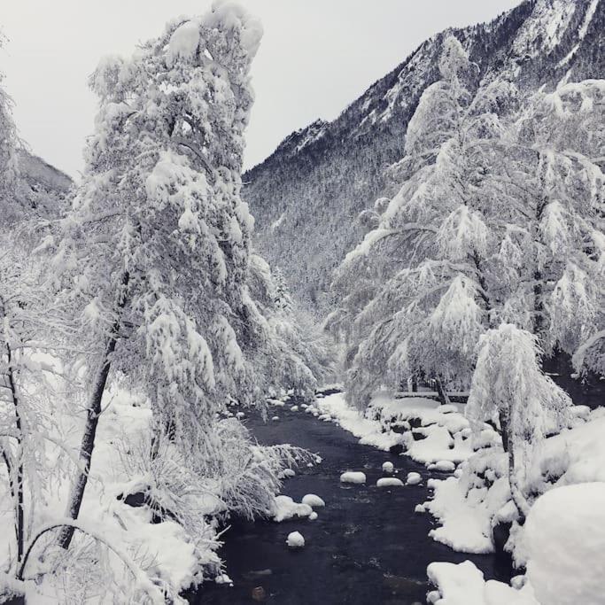 Chalet De Charme A Saint Lary - 维格奈科 外观 照片